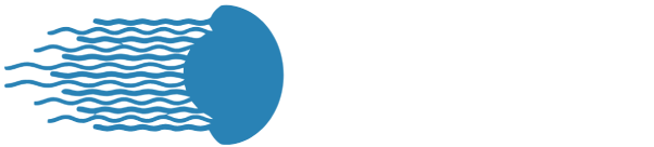 Señor Medusa - Producción de eventos y conciertos | Experiencias que marcan