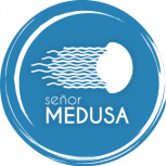 Portfolio - Señor Medusa - Producción de eventos y conciertos